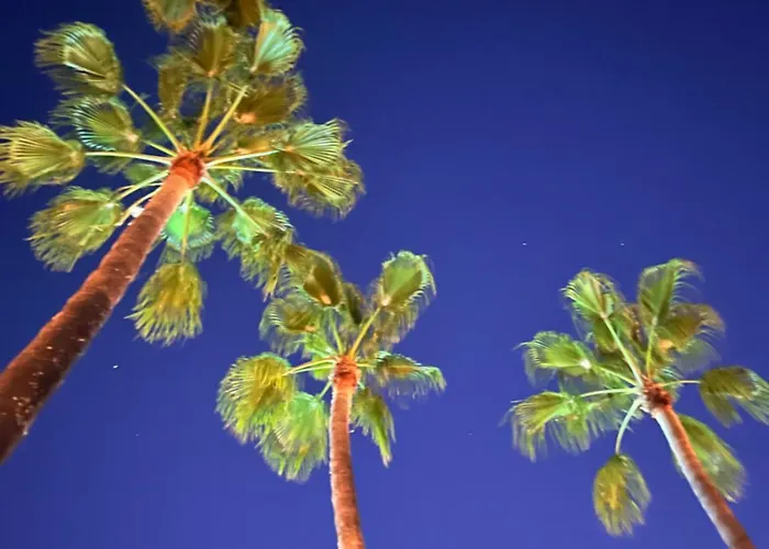 Le Papillon Maitiss Апартаменты *